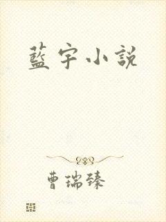 蓝宇小说