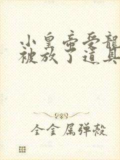 小皇帝受龙椅上被放了道具