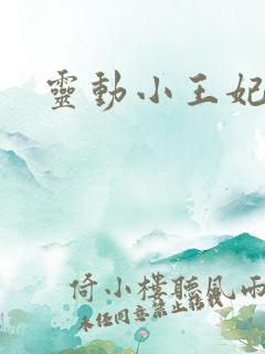 灵动小王妃