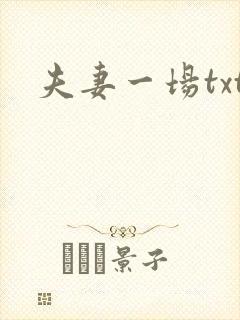 夫妻一场txt