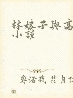 林娘子与高衙内小说