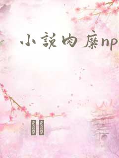 小说肉糜np