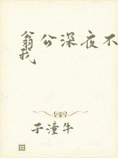 翁公深夜不停要我