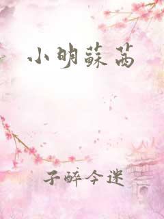 小明苏茜