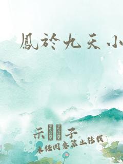 凤于九天小说