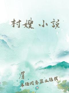 村嫂 小说