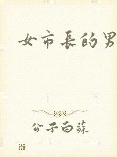 女市长的男秘书