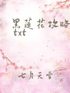 黑莲花攻略手册 txt