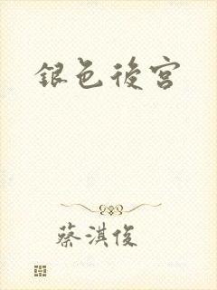 银色后宫
