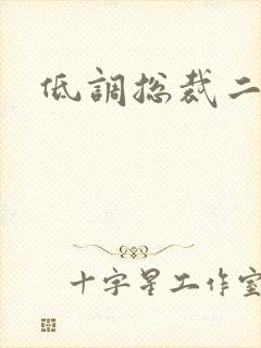 低调总裁二手妻