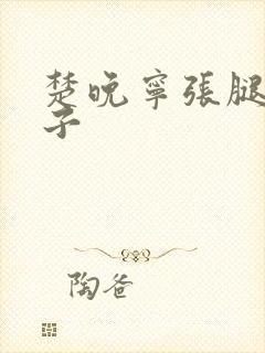 楚晚宁张腿放棋子