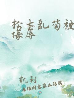 松本乱菊被死神侮辱