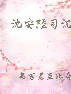 沈安陆司沉小说