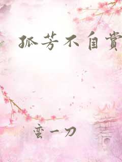 孤芳不自赏小说