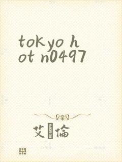 tokyo hot n0497