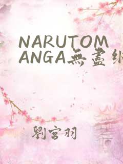 NARUTOMANGA无尽纲手
