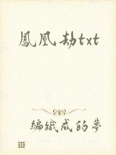 凤凰劫txt