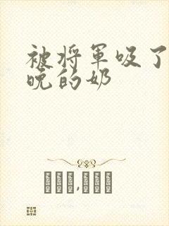 被将军吸了一整晚的奶