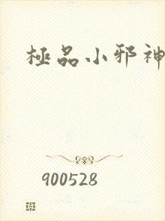 极品小邪神