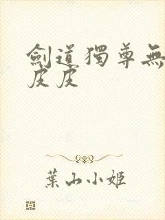 剑道独尊无弹窗皮皮