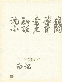 沈知意薄砚霆的小说免费阅读