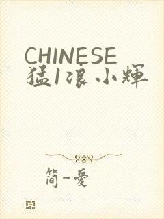 CHINESE猛1浪小辉
