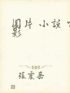 图片 小说 电影