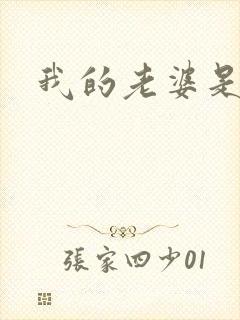 我的老婆是太妹