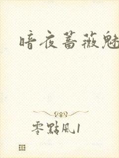 暗夜蔷薇魅