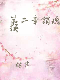 第二章销魂的交换