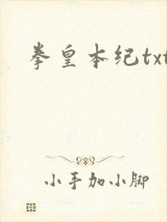 拳皇本纪txt