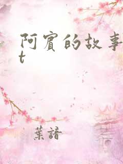 阿宾的故事txt