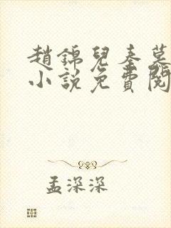 赵锦儿秦慕修的小说免费阅读全文