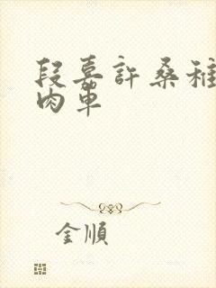 段嘉许桑稚浴室肉车