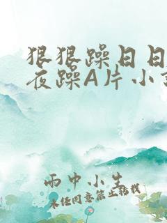 狠狠躁日日躁夜夜躁A片小说