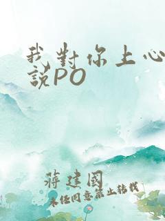 我对你上心了小说PO