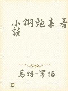 小钢炮来看我小说