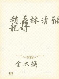 赵磊林清雅上门龙婿
