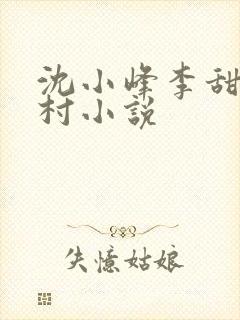沈小峰李甜的乡村小说