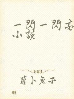 一闪一闪亮星星小说