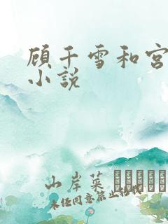 顾千雪和宫凌沨小说