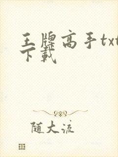 王牌高手txt下载