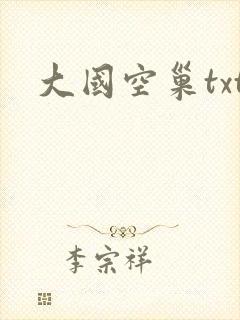 大国空巢txt