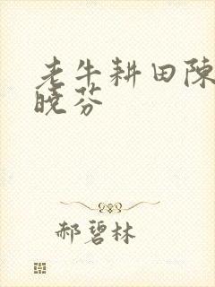 老牛耕田陈雪杨晓芬