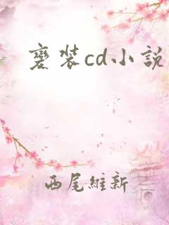 变装cd小说
