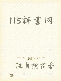 115评书网