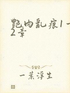 艳肉乱痕1一12章