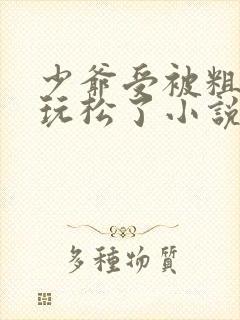 少爷受被粗汉H玩松了小说