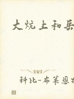 大炕上和岳偷倩