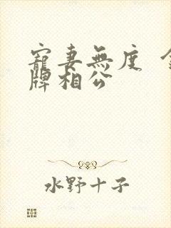 宠妻无度  金牌相公